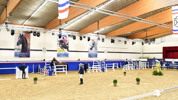 holsteiner verband derby community reithalle